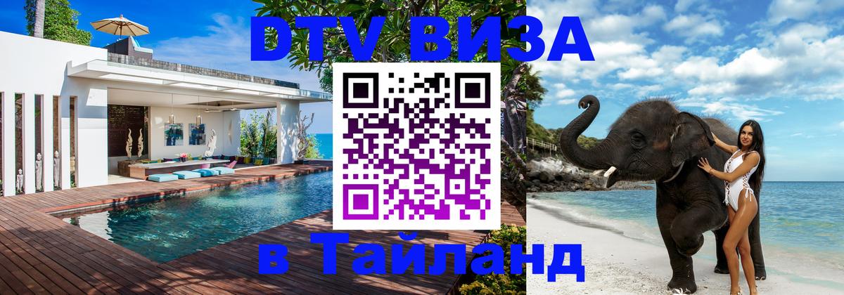 Оформление DTV визы под ключ: стоимость и тарифы, только загранпаспорт - 20.11.2025 